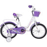 Детский велосипед TECH TEAM FIREBIRD 16